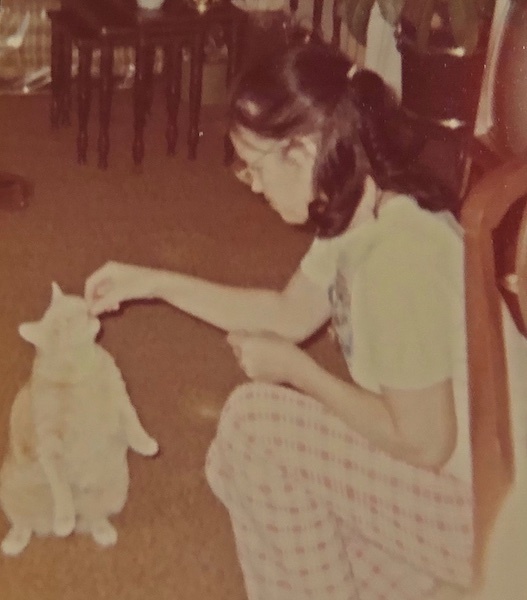 cats3