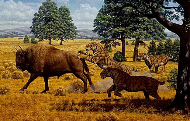 sabertooth