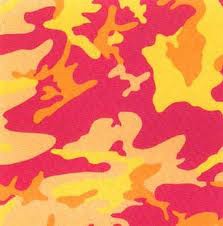 warholcamo
