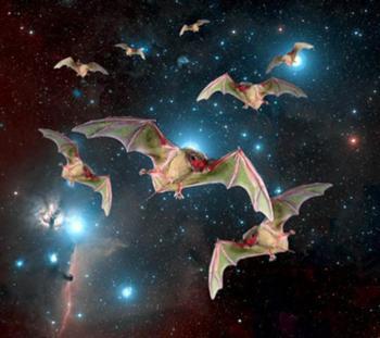 Spacebats