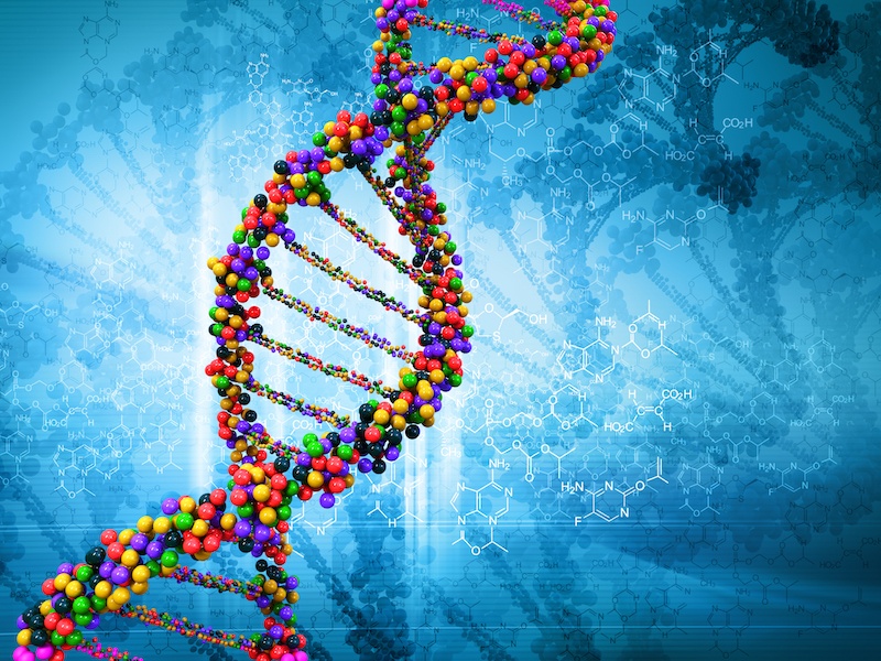 From the Whole-Genome Sequencing (WGS) Project, U.S. Department of Health & Human Services