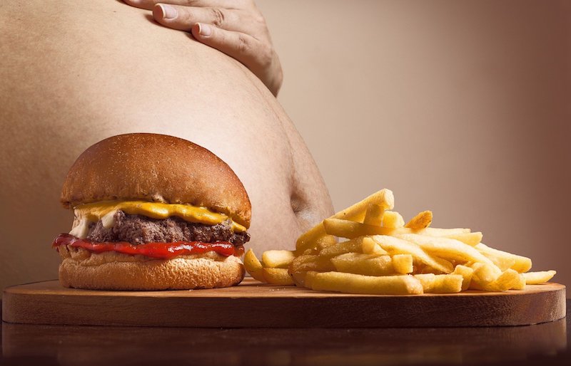fat burger fries