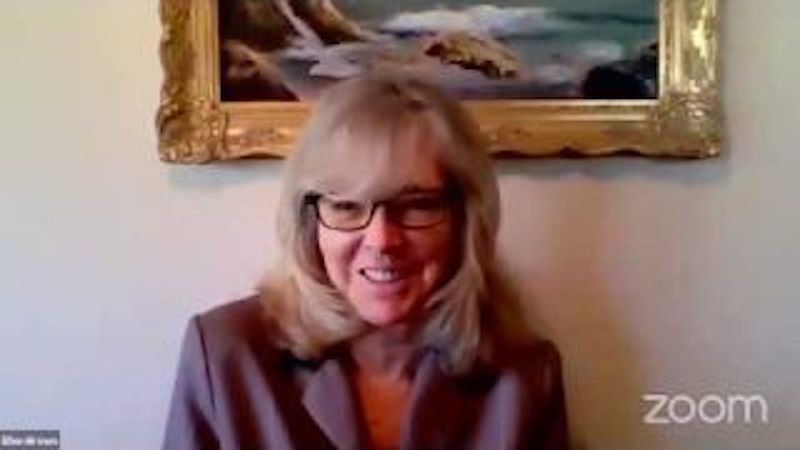 Ellen Brown Webinar