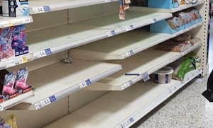 empty shelves2