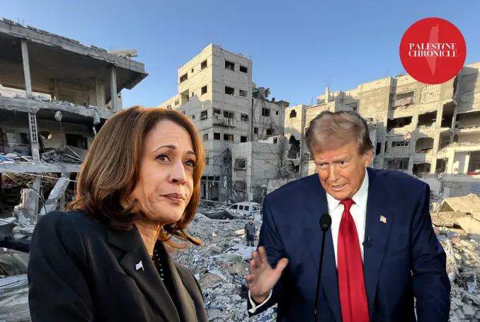 Kamala Harris and Donald Trump. (Design: Palestine Chronicle)