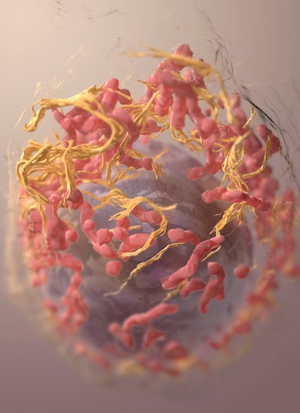 3D structure of a melanoma cell derived by ion abrasion scanning electron microscopy. Credit: National Cancer Institute, Unsplash (CC0, creativecommons.org/publicdomain/zero/1.0/)